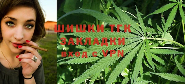 винт Бородино