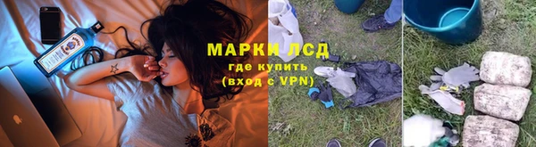 винт Бородино