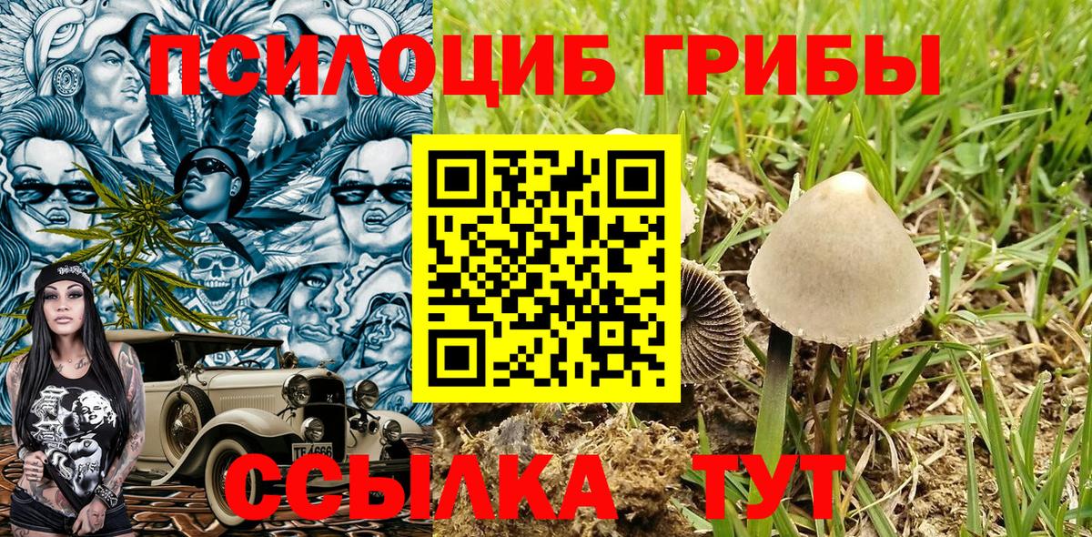 Галлюциногенные грибы мицелий Верхняя Салда