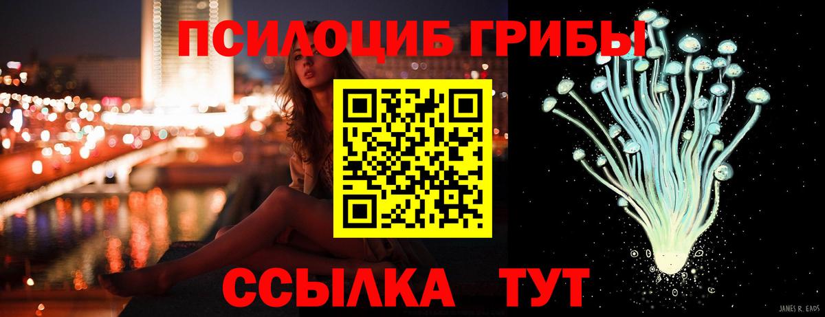 Псилоцибиновые грибы GOLDEN TEACHER  где продают наркотики  Верхняя Салда  Вход с VPN 
